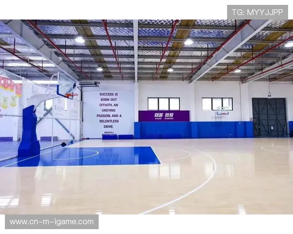 篮球竞技与文化的交织探索：从街头到赛场的全方位发展分析