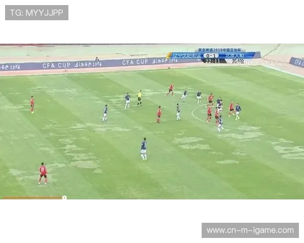 杭州排球队技术深度解析：从基本功到战术运用的全面探讨