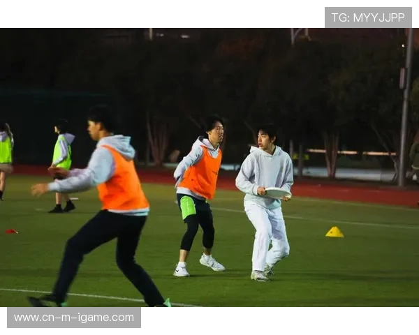 重庆飞盘队的团队意识与竞技精神探讨与分析